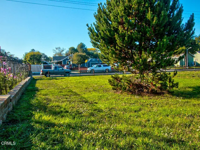 a view of a garden with a tree
