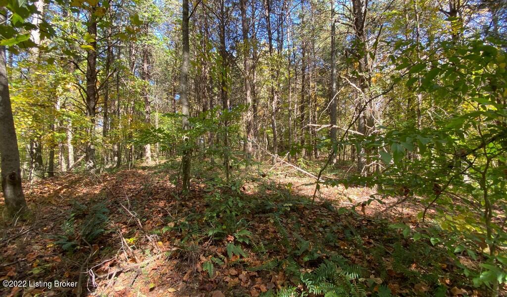 L41 Ted Logsdon Road Clarkson, KY 42726 - Photo 4 of 13 River View Fall182