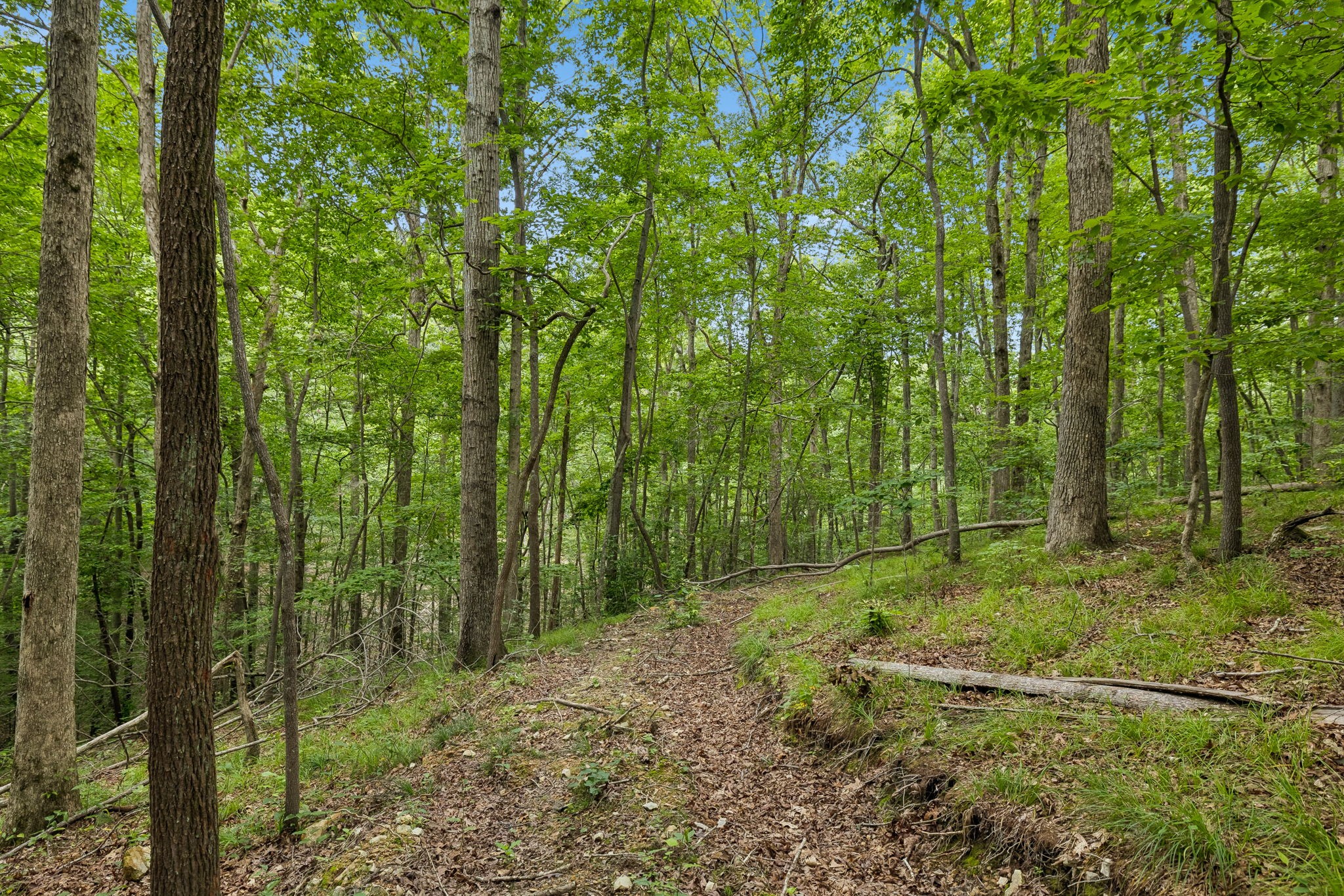 5550 Hargrove Ridge Road Franklin, TN 37064 - Photo 40 of 73 Gallery Image 40