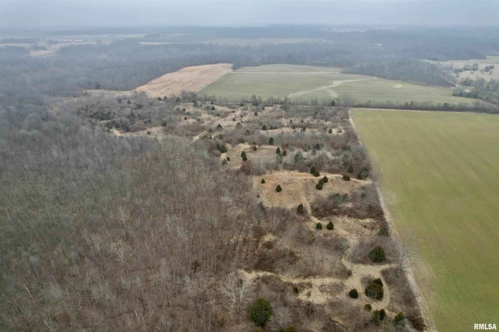 0 County Road 2300 Road Rinard, IL 62878 - Photo 1 of 54 Gallery Image 1