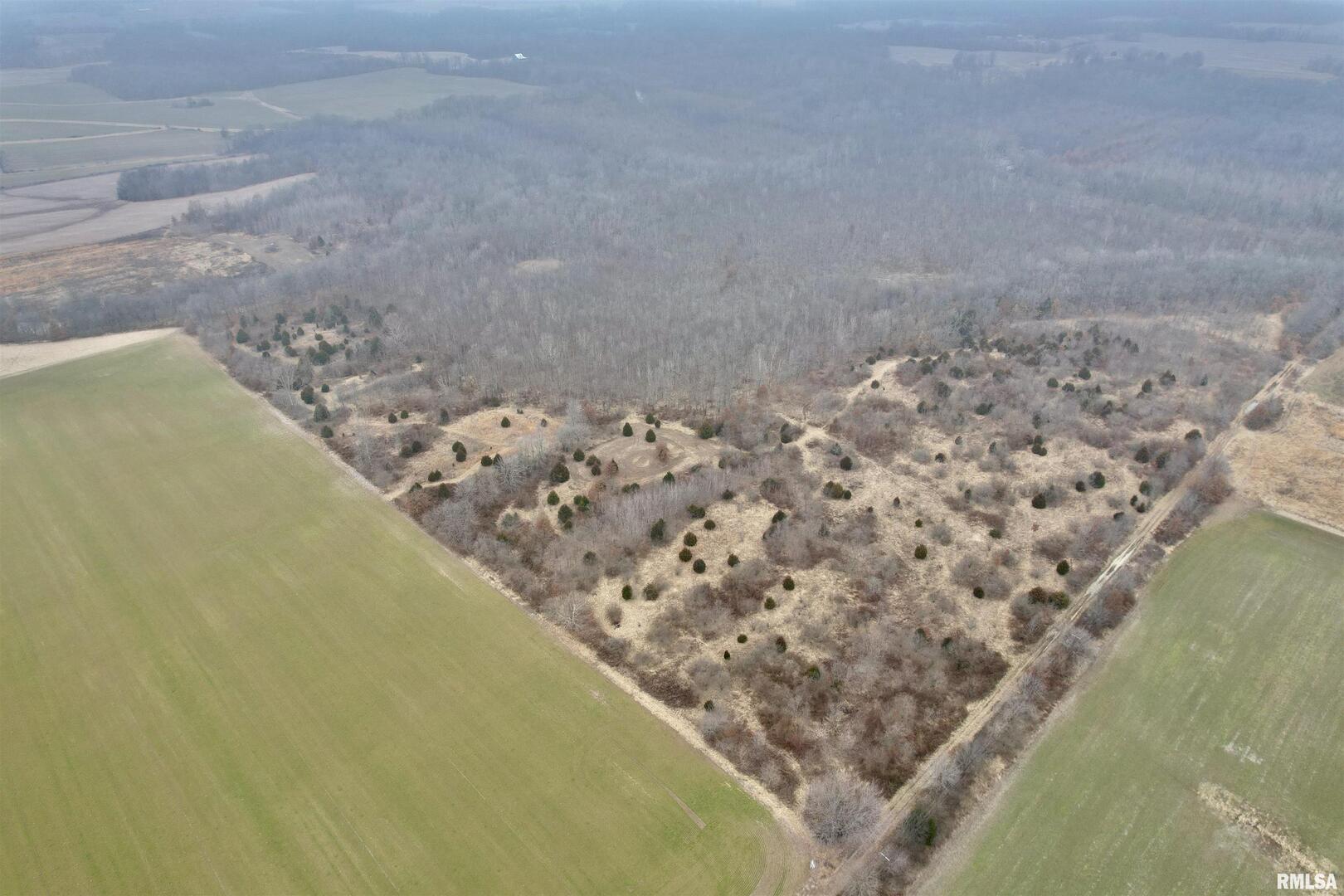 0 County Road 2300 Road Rinard, IL 62878 - Photo 12 of 54 Gallery Image 12