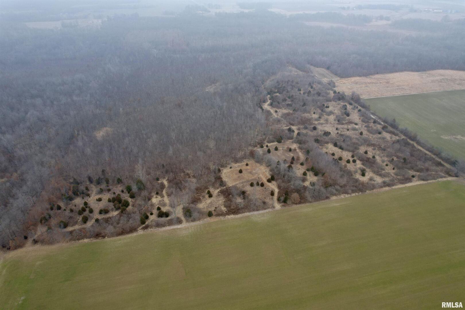 0 County Road 2300 Road Rinard, IL 62878 - Photo 13 of 54 Gallery Image 13