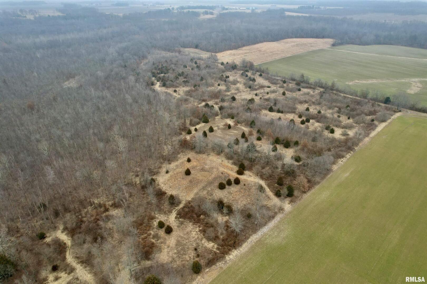 0 County Road 2300 Road Rinard, IL 62878 - Photo 14 of 54 Gallery Image 14