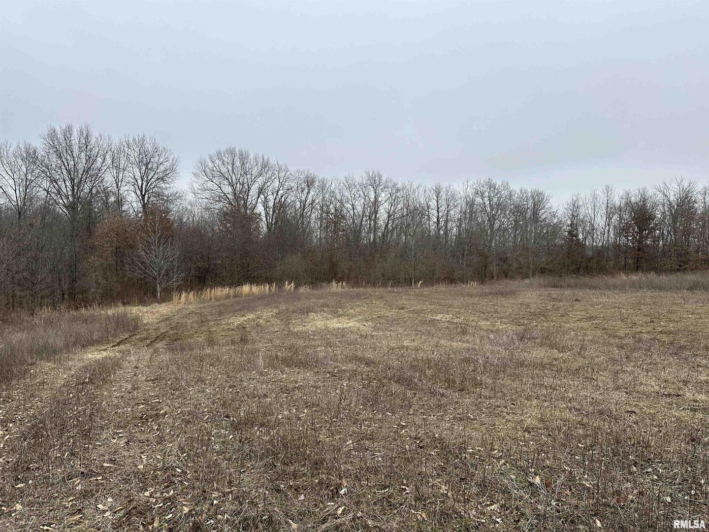 0 County Road 2300 Road Rinard, IL 62878 - Photo 24 of 54 Gallery Image 24