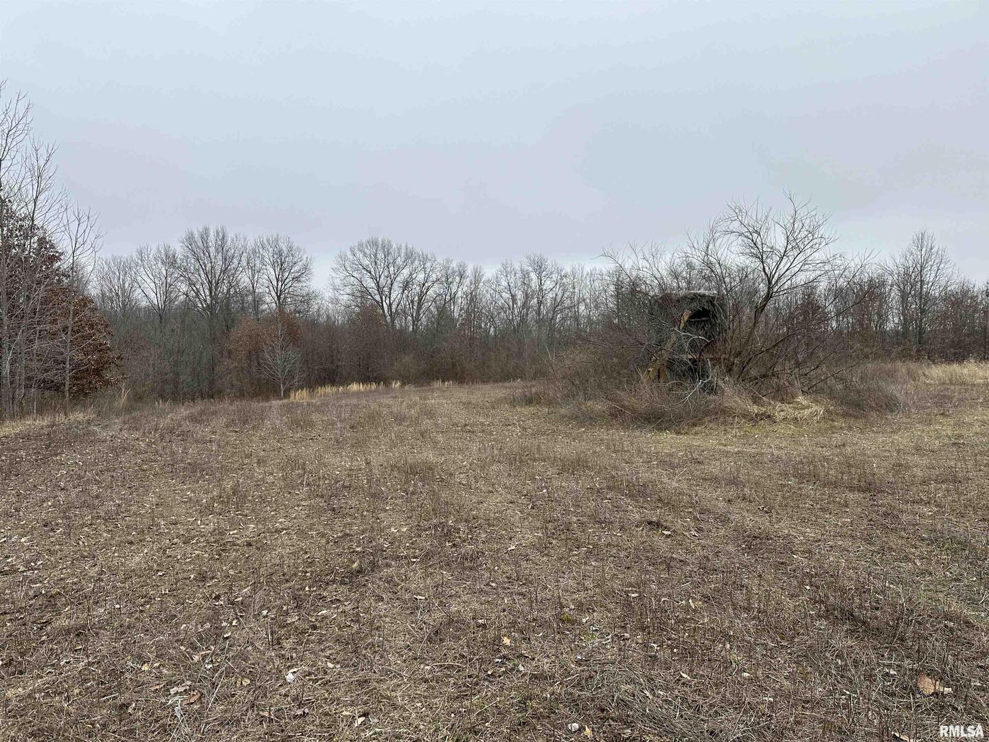 0 County Road 2300 Road Rinard, IL 62878 - Photo 25 of 54 Gallery Image 25