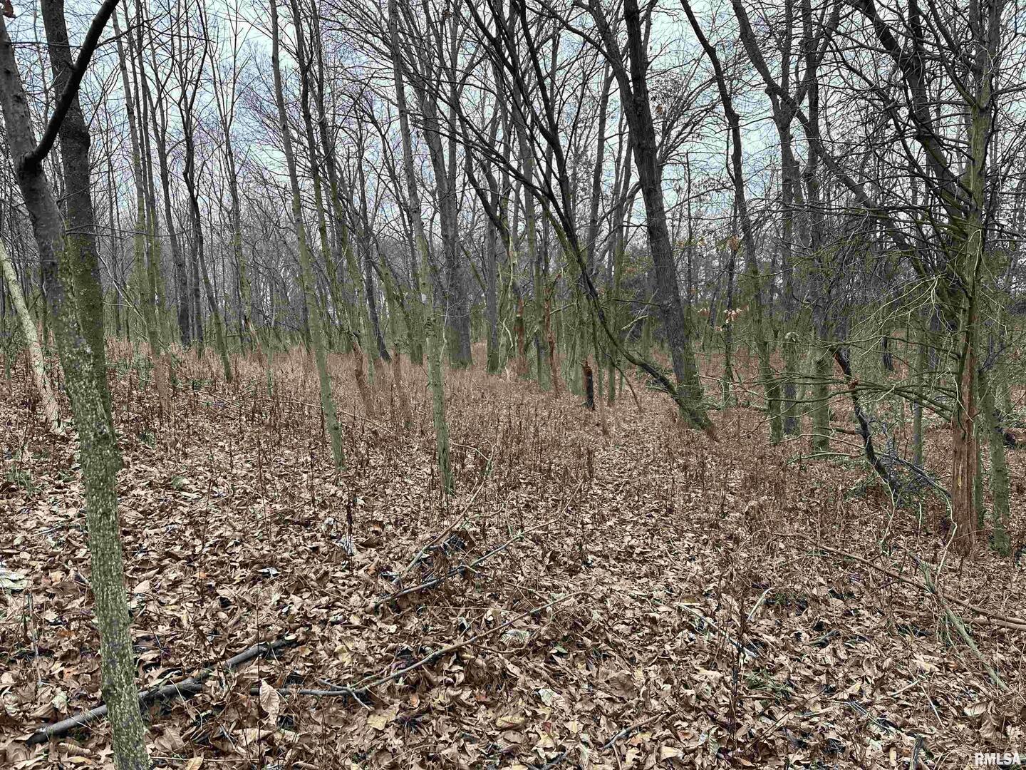 0 County Road 2300 Road Rinard, IL 62878 - Photo 29 of 54 Gallery Image 29