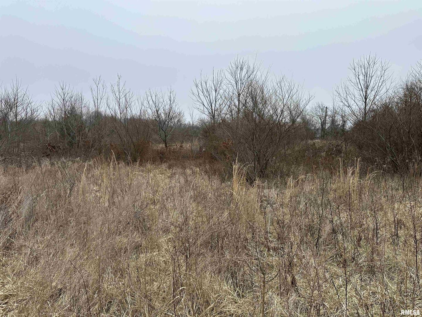 0 County Road 2300 Road Rinard, IL 62878 - Photo 38 of 54 Gallery Image 38