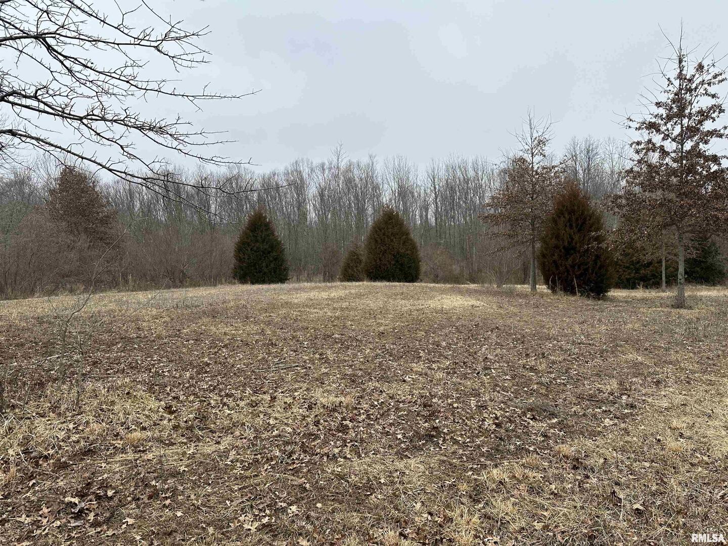 0 County Road 2300 Road Rinard, IL 62878 - Photo 39 of 54 Gallery Image 39