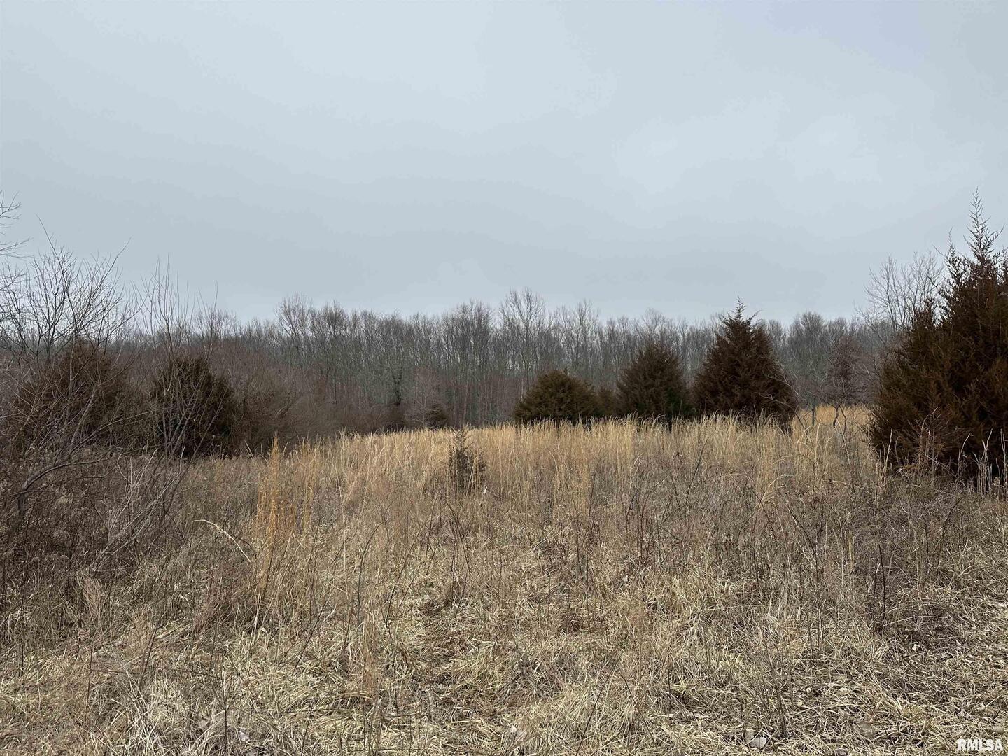 0 County Road 2300 Road Rinard, IL 62878 - Photo 40 of 54 Gallery Image 40