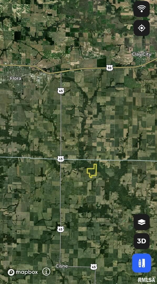 0 County Road 2300 Road Rinard, IL 62878 - Photo 46 of 54 Gallery Image 46