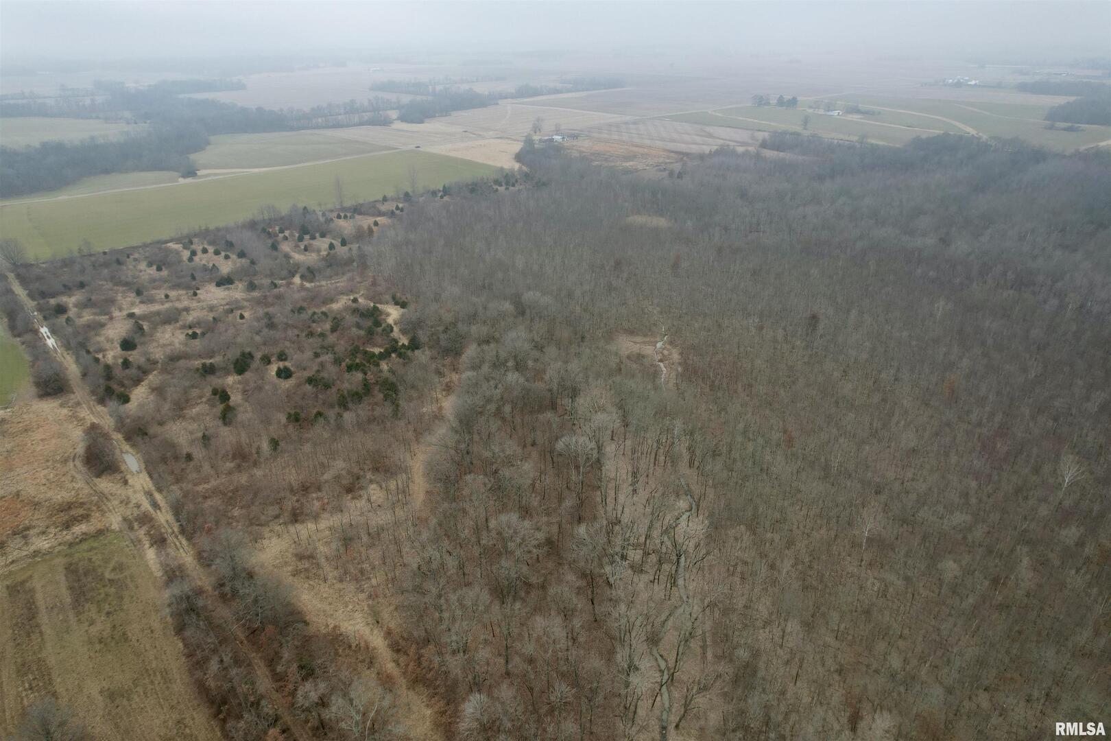 0 County Road 2300 Road Rinard, IL 62878 - Photo 9 of 54 Gallery Image 9