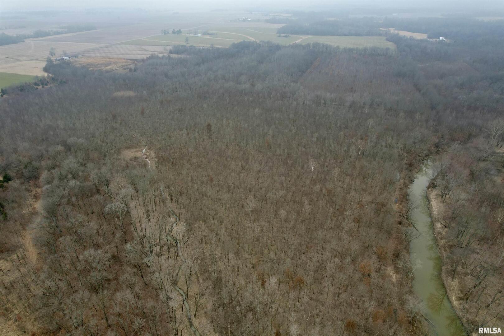 0 County Road 2300 Road Rinard, IL 62878 - Photo 10 of 54 Gallery Image 10