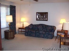6834 Old State Route Riverton, IL 62561 - Photo 5 of 11 Gallery Image 5