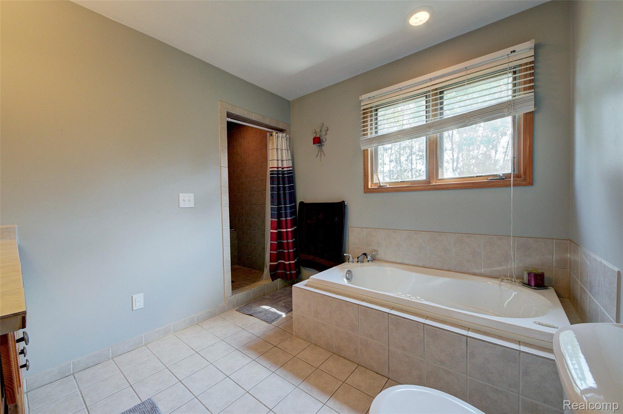 9103 Pierson Road Fowlerville, MI 48836 - Photo 20 of 35 master bath 1.jpg