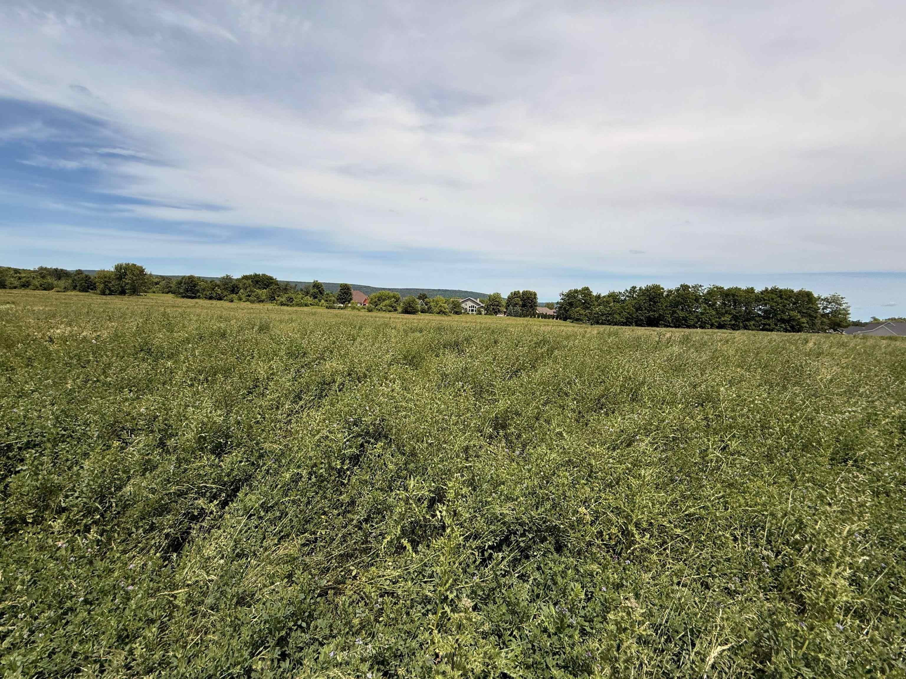 Lot 13 Lakestone Merrimac, WI 53561 - Photo 2 of 42