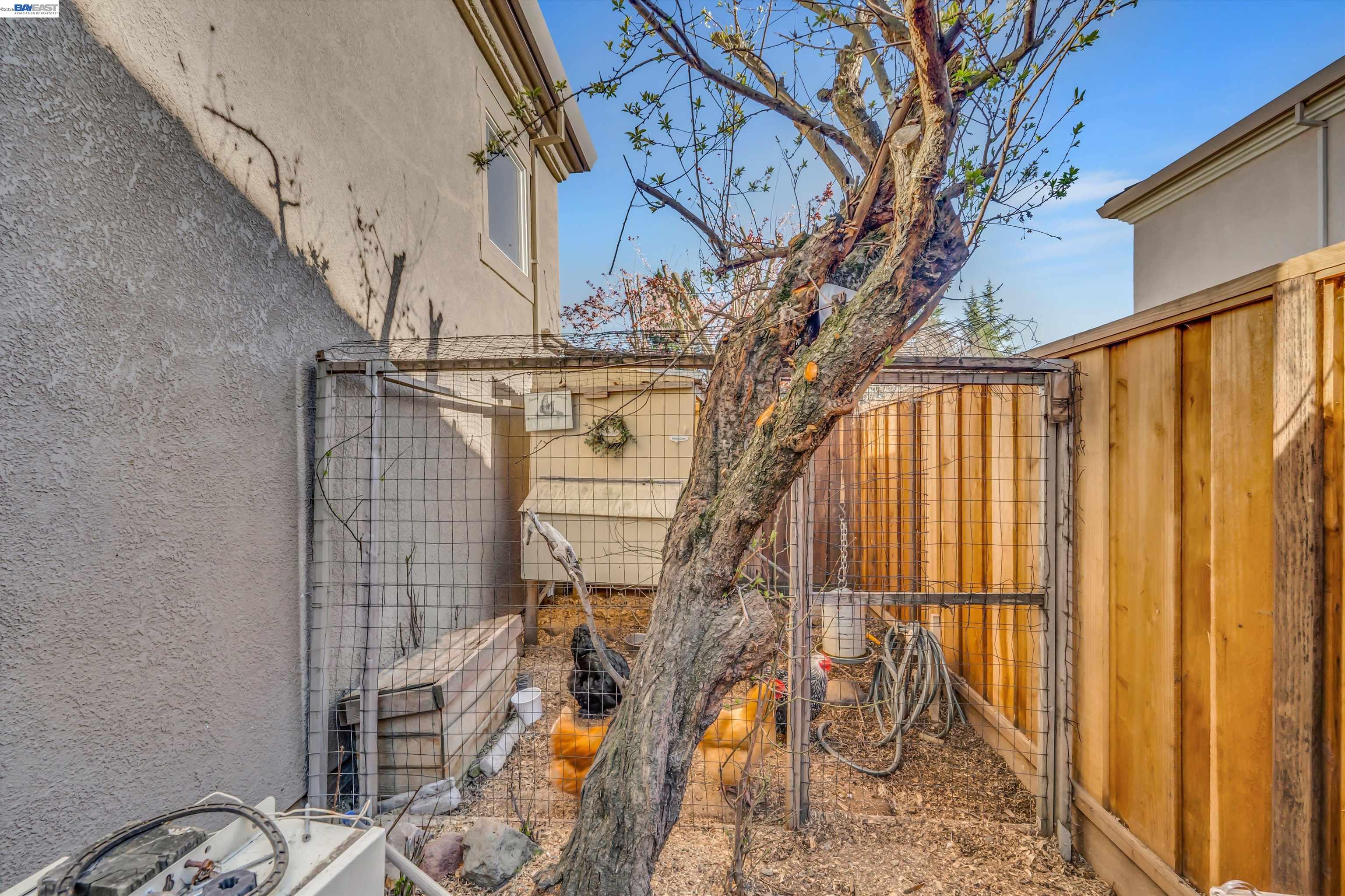 216 Elder Court San Ramon, CA 94582 - Photo 49 of 54