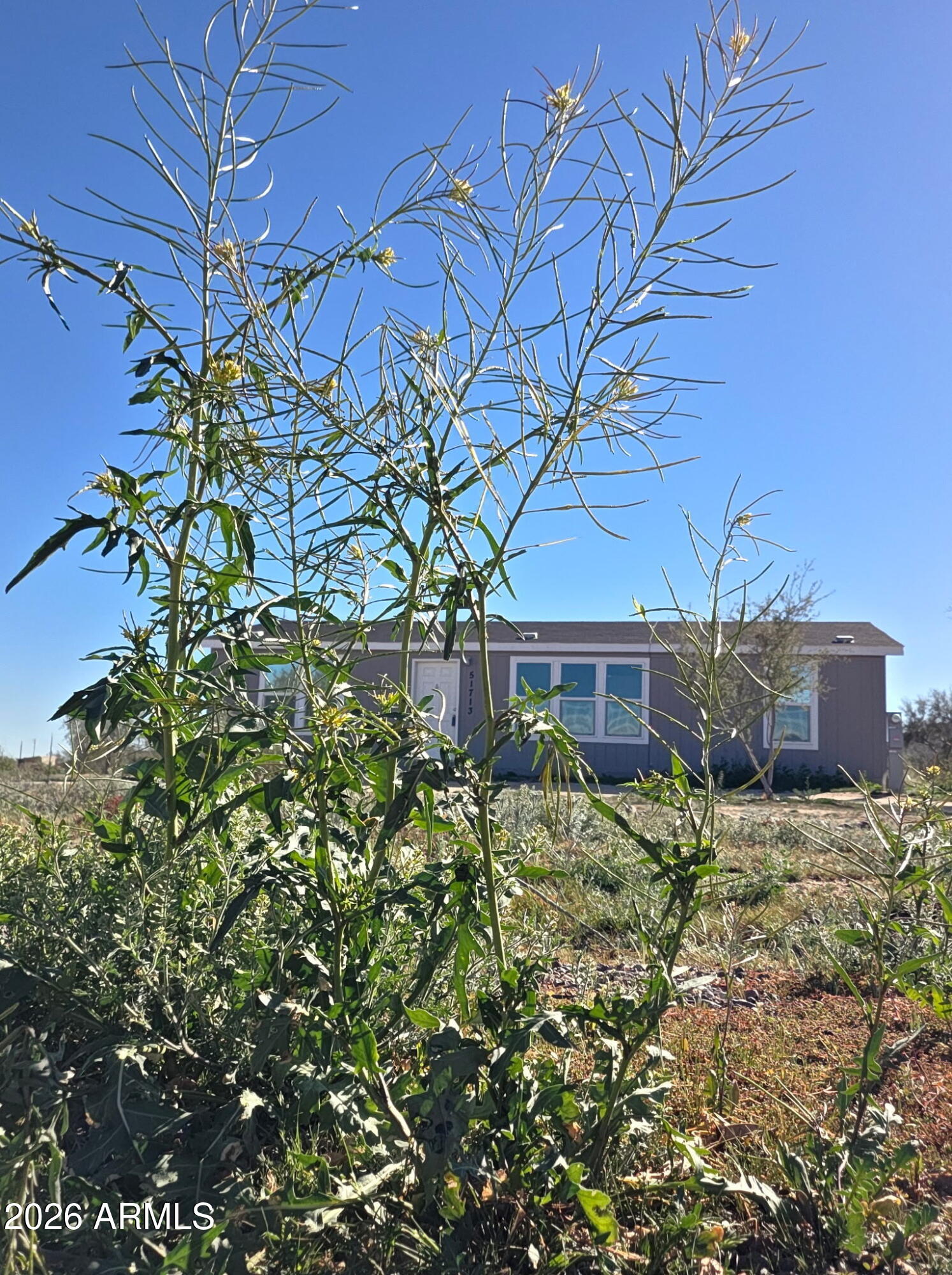 51713 West Fresno Road Maricopa, AZ 85139 - Photo 5 of 9 a backyard of a house with lots of green space