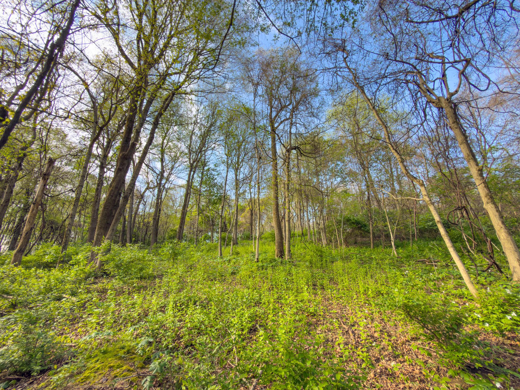 9874 Cincinnati-Zanesville Road Southwest Amanda, OH 43102 - Photo 22 of 50 cinci-zane rd sw-22
