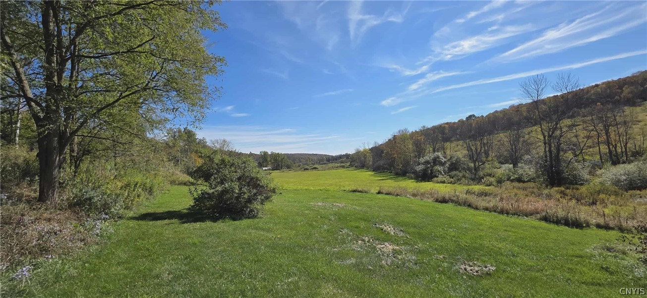 4555 Elwood Road Taylor, NY 13040 - Photo 7 of 47