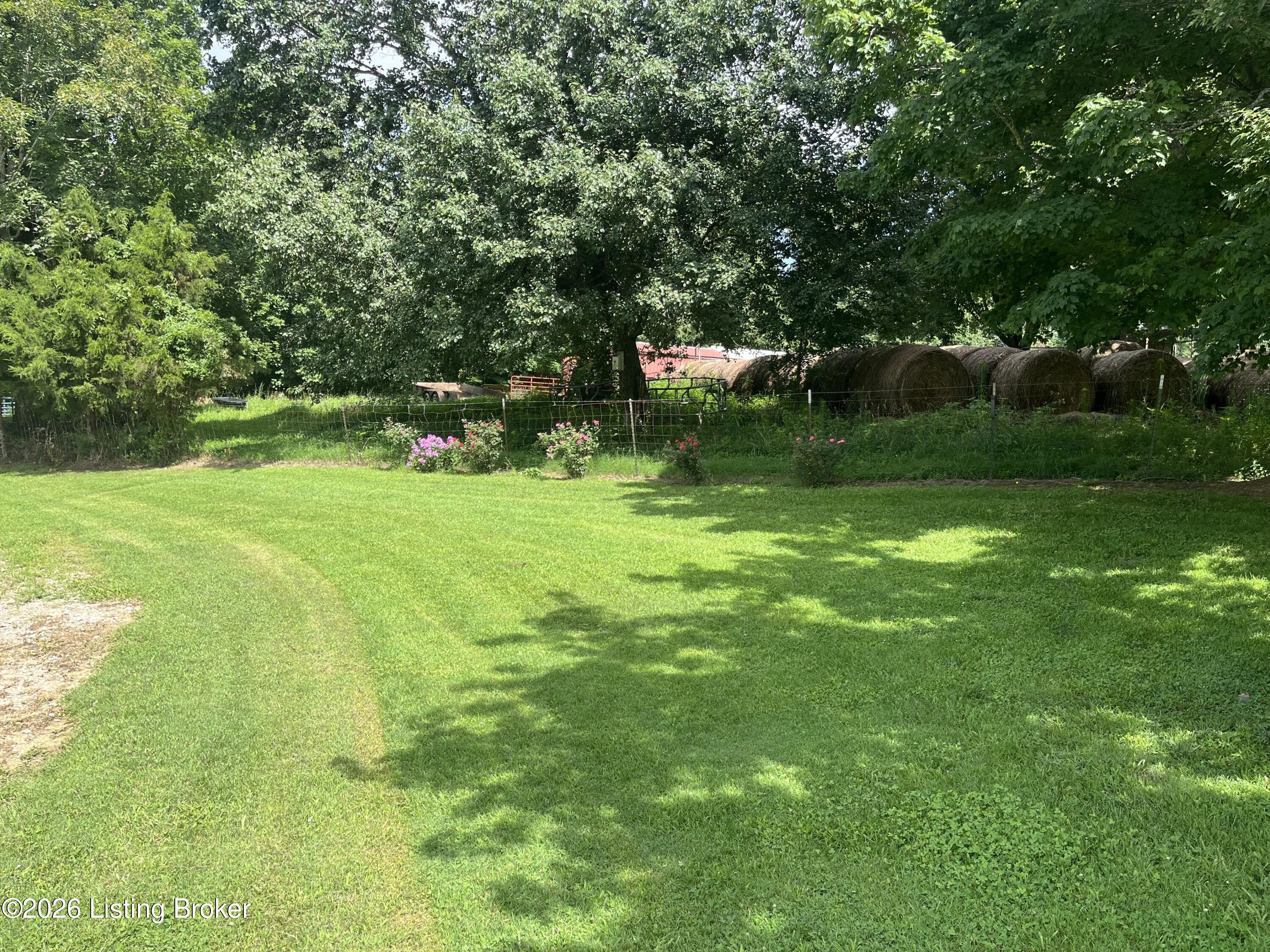 5545 Rabbit Flat Road Caneyville, KY 42721 - Photo 49 of 69 IMG_8173