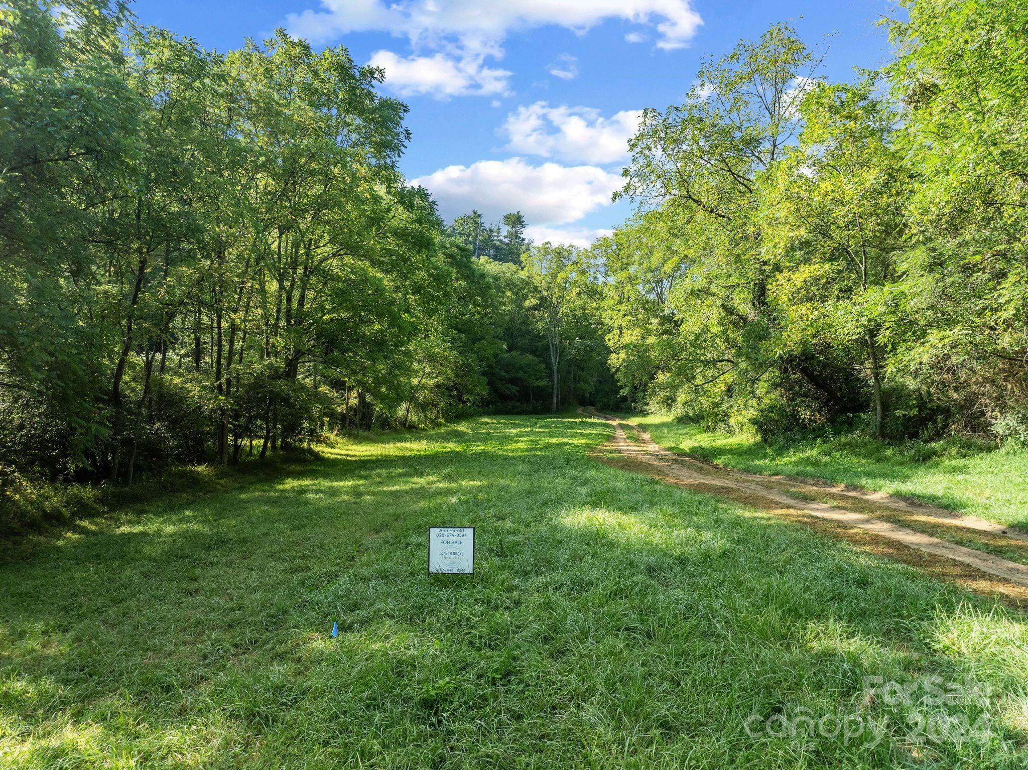 ### Tillery Br Road, Unit 3 Marshall, NC 28753 - Photo 8 of 10 Gallery Image 8