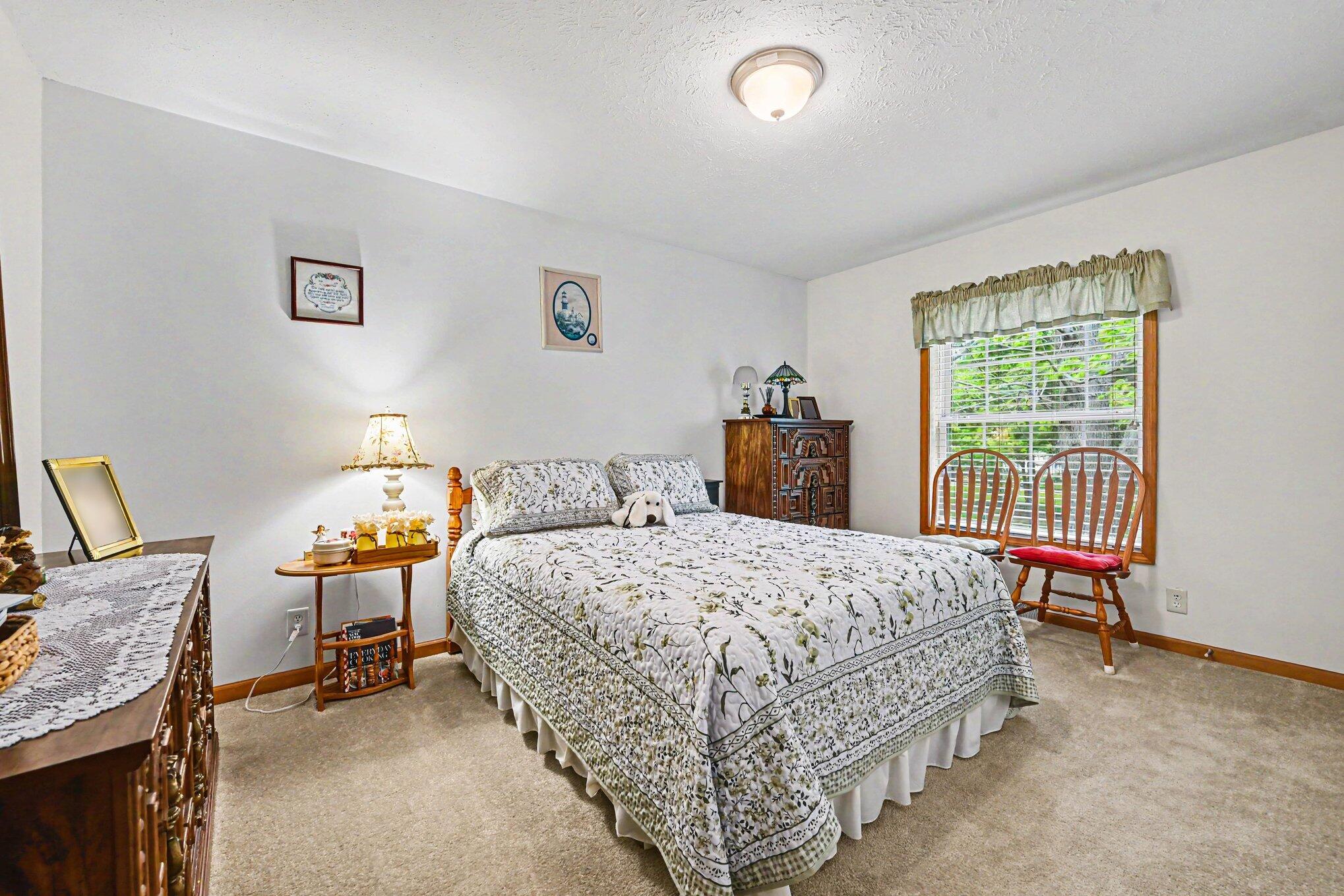 584 Orchard Road Marshall, MI 49068 - Photo 8 of 28 009_file_2822