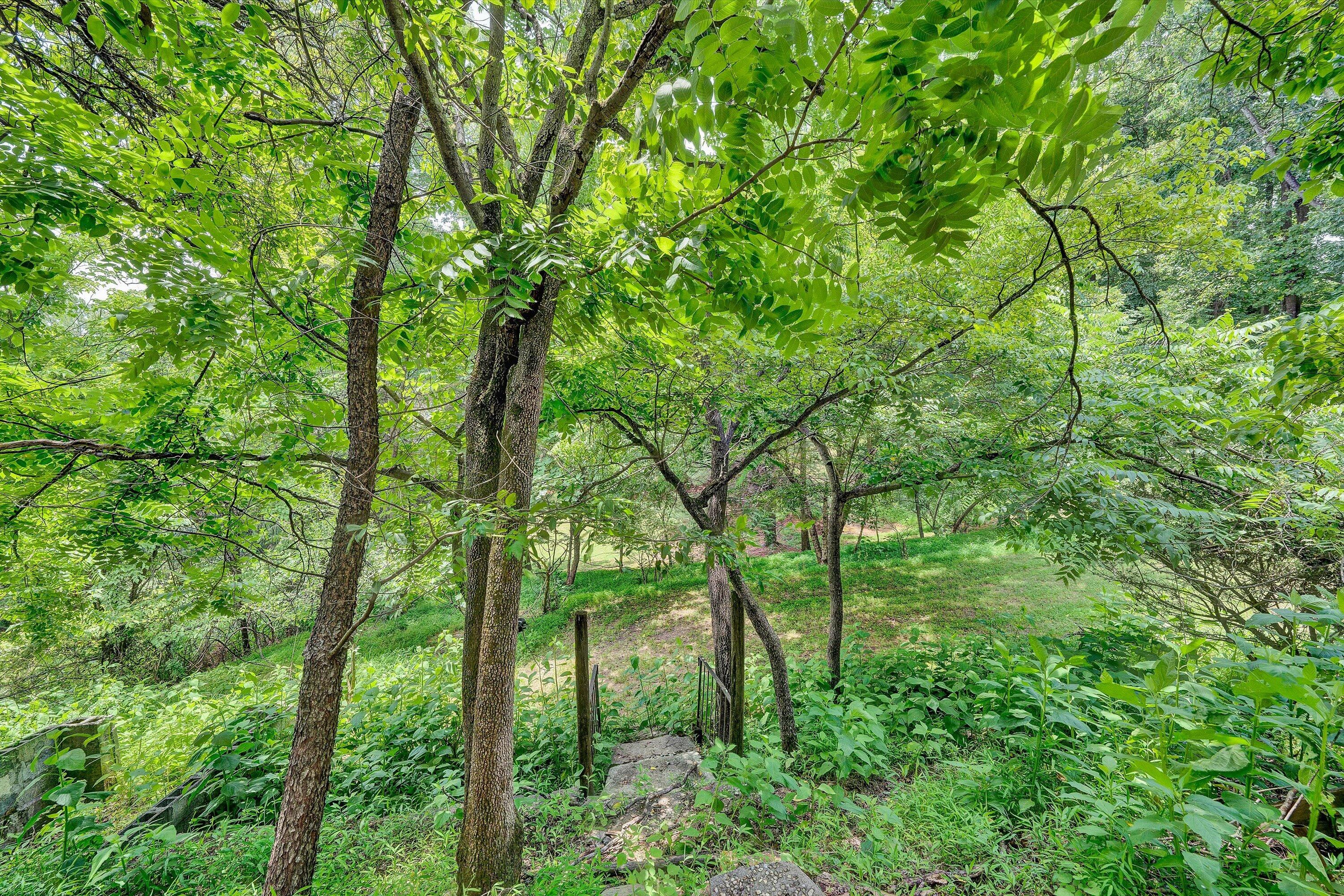 4506 Rosecrest Road Roanoke, VA 24018 - Photo 48 of 49 45-DSC00214