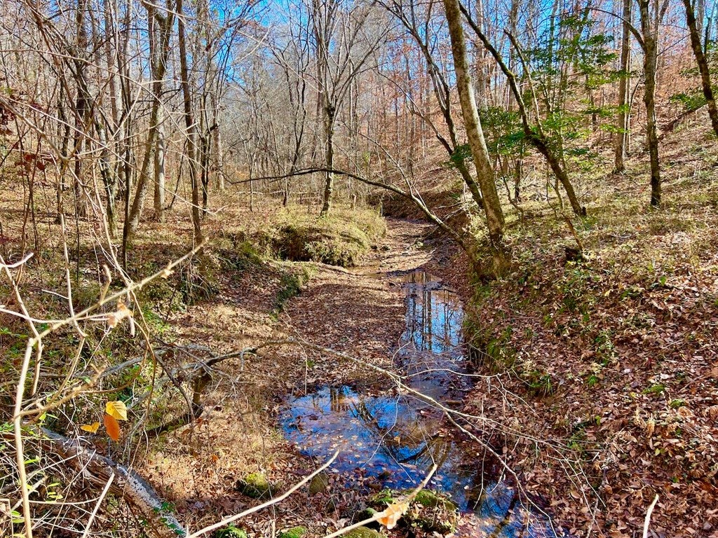 Lunenburg County Road Keysville, VA 23947 - Photo 18 of 22 Gallery Image 18