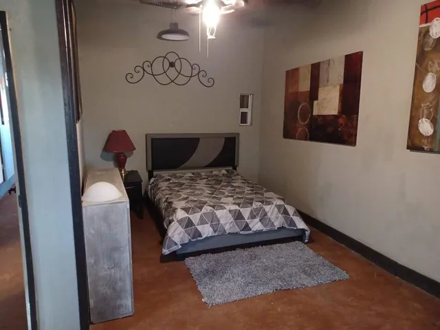 a view of a house with a big yard potted plants and large tree