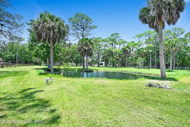 a view of a park with a tree