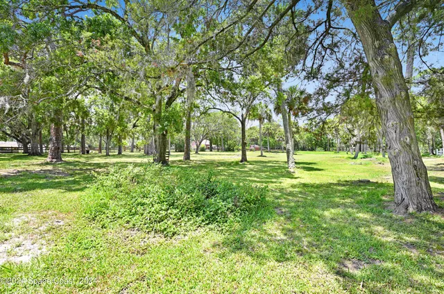 a view of a trees with a big yard