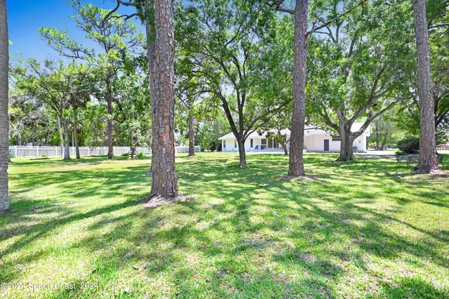 a view of trees with a trees