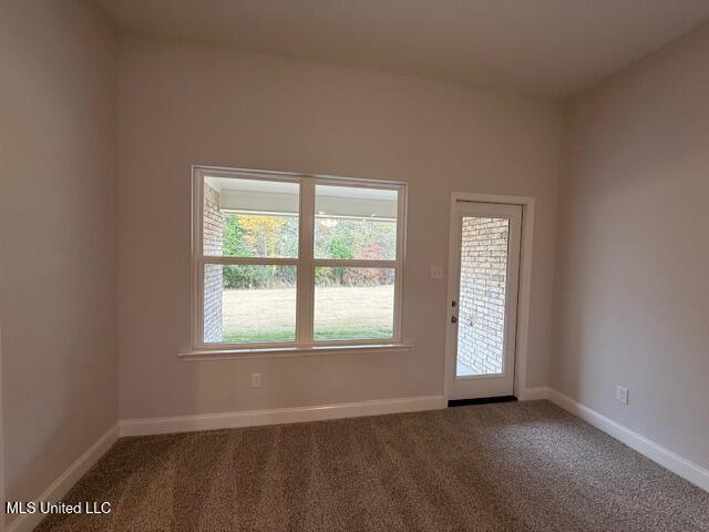 329 Cardinal Lane Senatobia, MS 38668 - Photo 18 of 28 IMG_3895