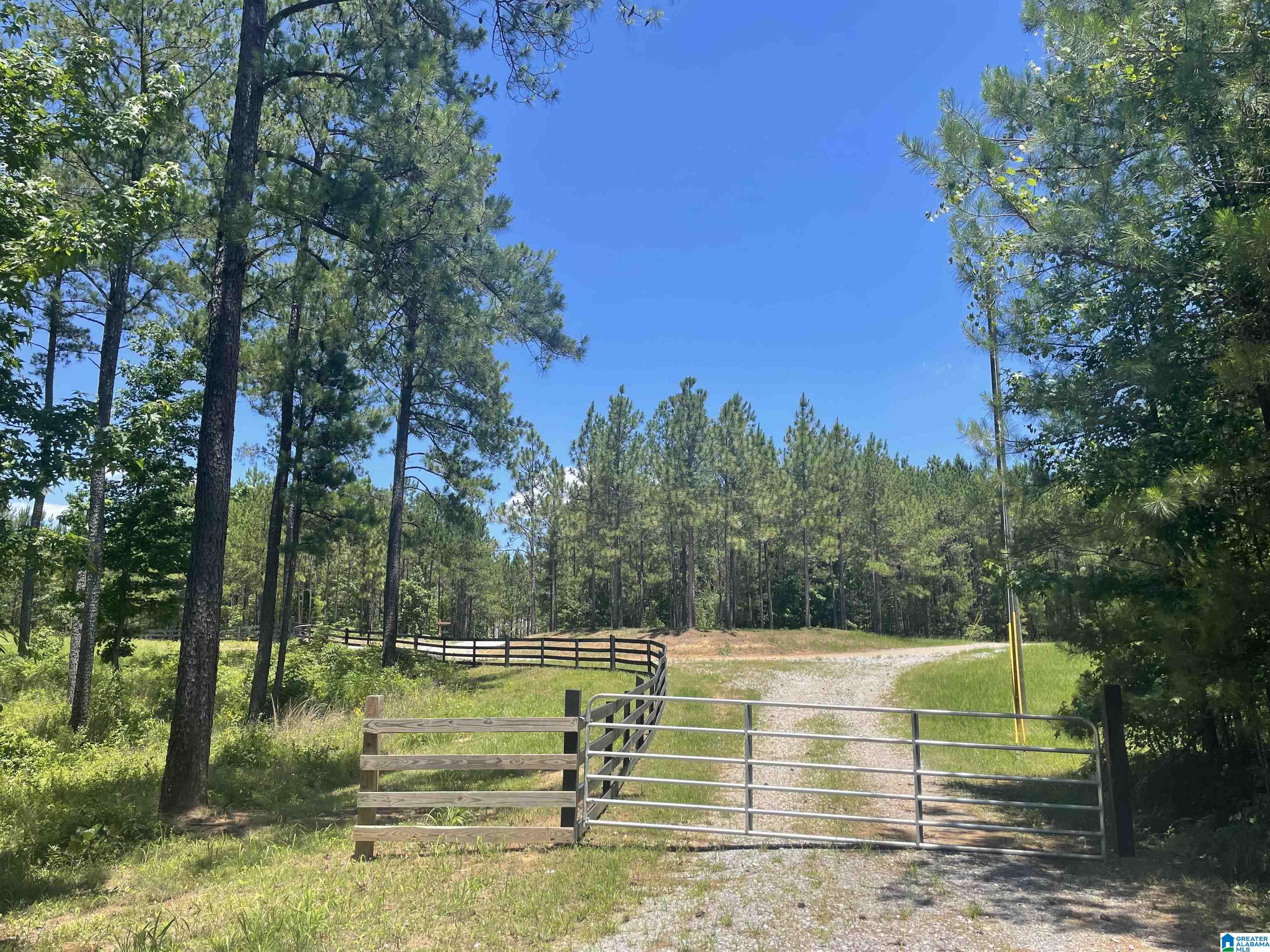 0 Chelsea Farms Road, Unit 24 Chelsea, AL 35043 - Photo 31 of 37
