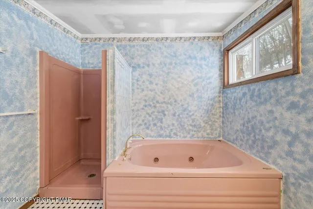 a bathroom with a bathtub and a shower