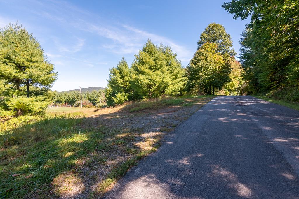12.63-ac Shelor Road Southwest Meadows Of Dan, VA 24120 - Photo 1 of 16 Gallery Image 1