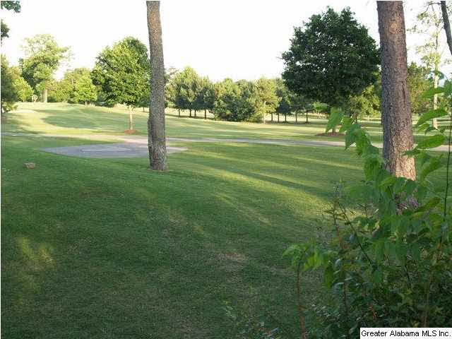 2405 Chestnut Road Birmingham, AL 35216 - Photo 31 of 31