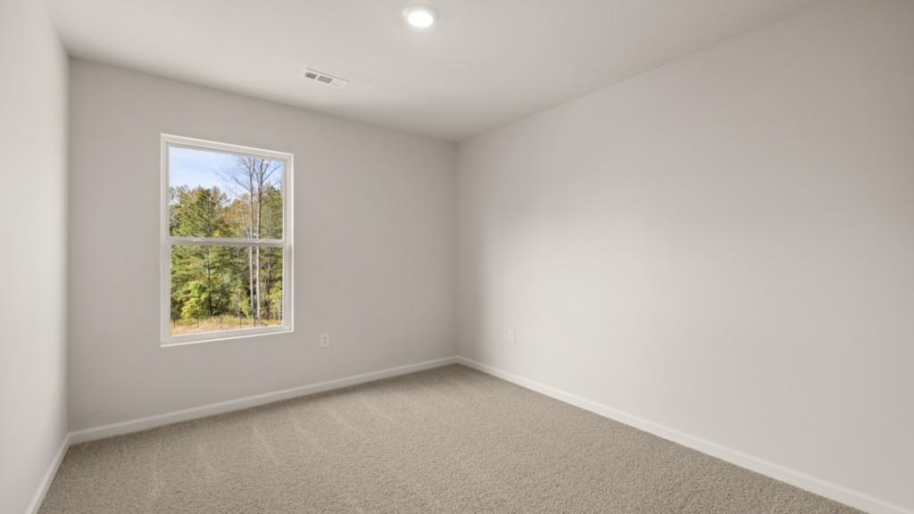 161 Addison Trace Dawsonville, GA 30534 - Photo 29 of 36