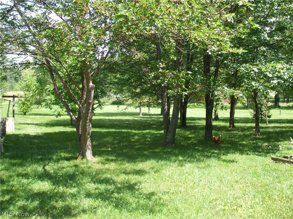 6085 Carsten Road Medina, OH 44256 - Photo 5 of 28 Gallery Image 5