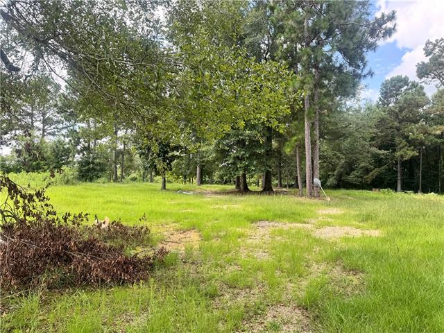 72045 South Lewiston Road Kentwood, LA 70444 - Photo 4 of 17