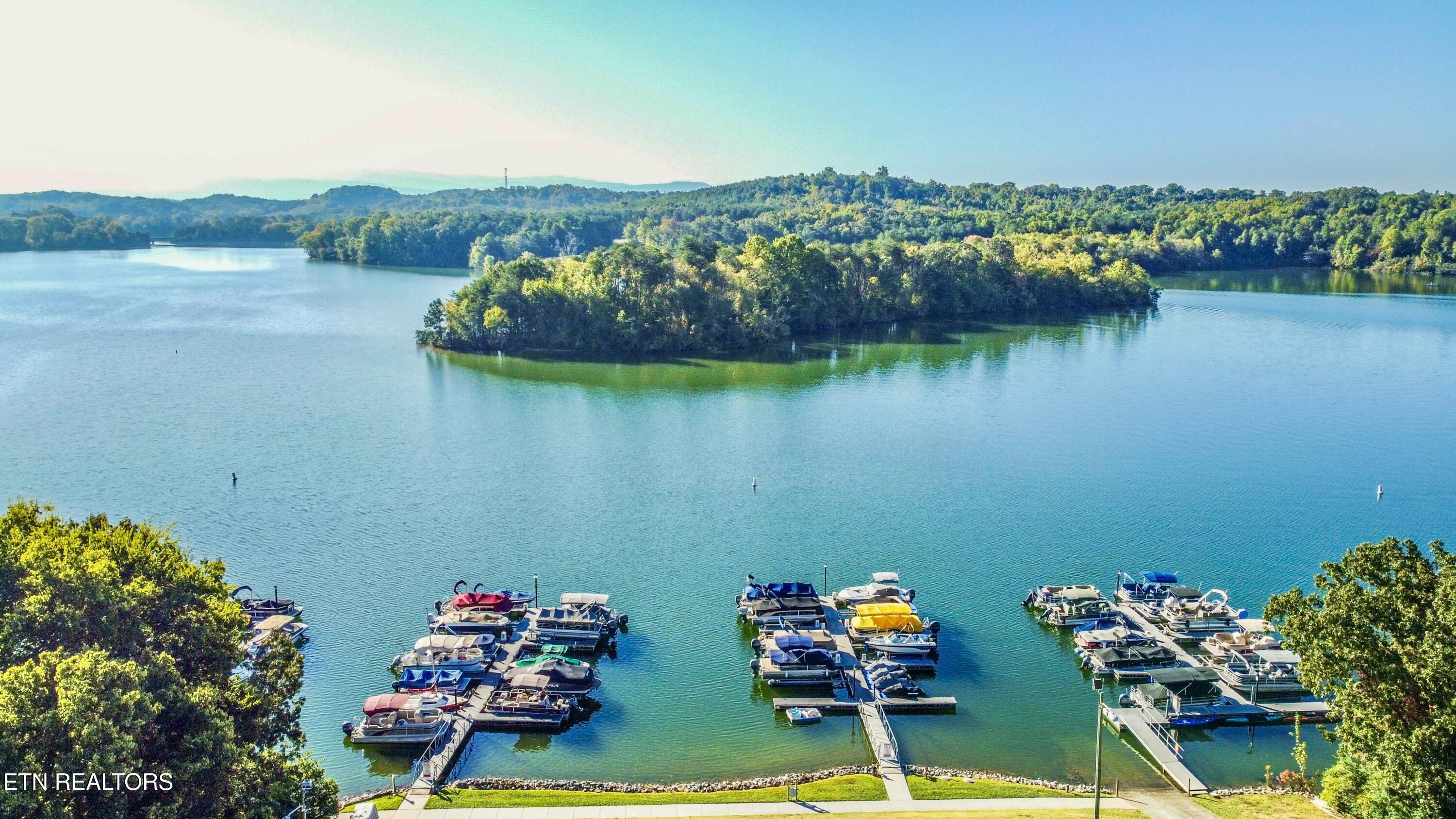 109 Timberlake Drive Greenback, TN 37742 - Photo 14 of 26 Foothills Pointe Marina