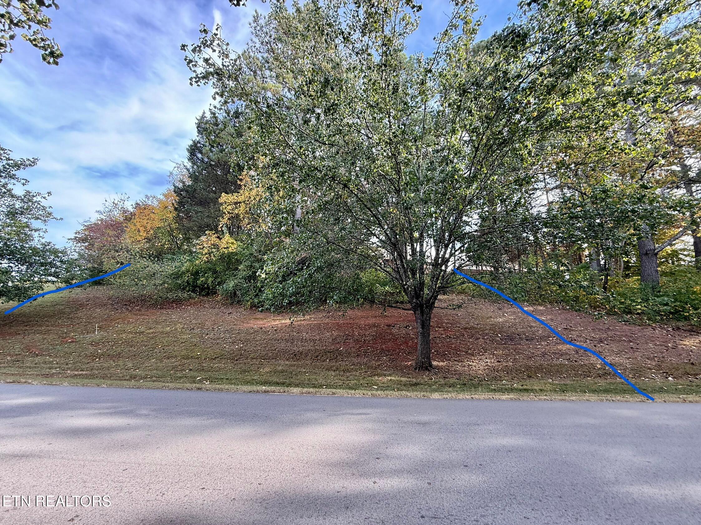 109 Timberlake Drive Greenback, TN 37742 - Photo 6 of 26 IMG_1951