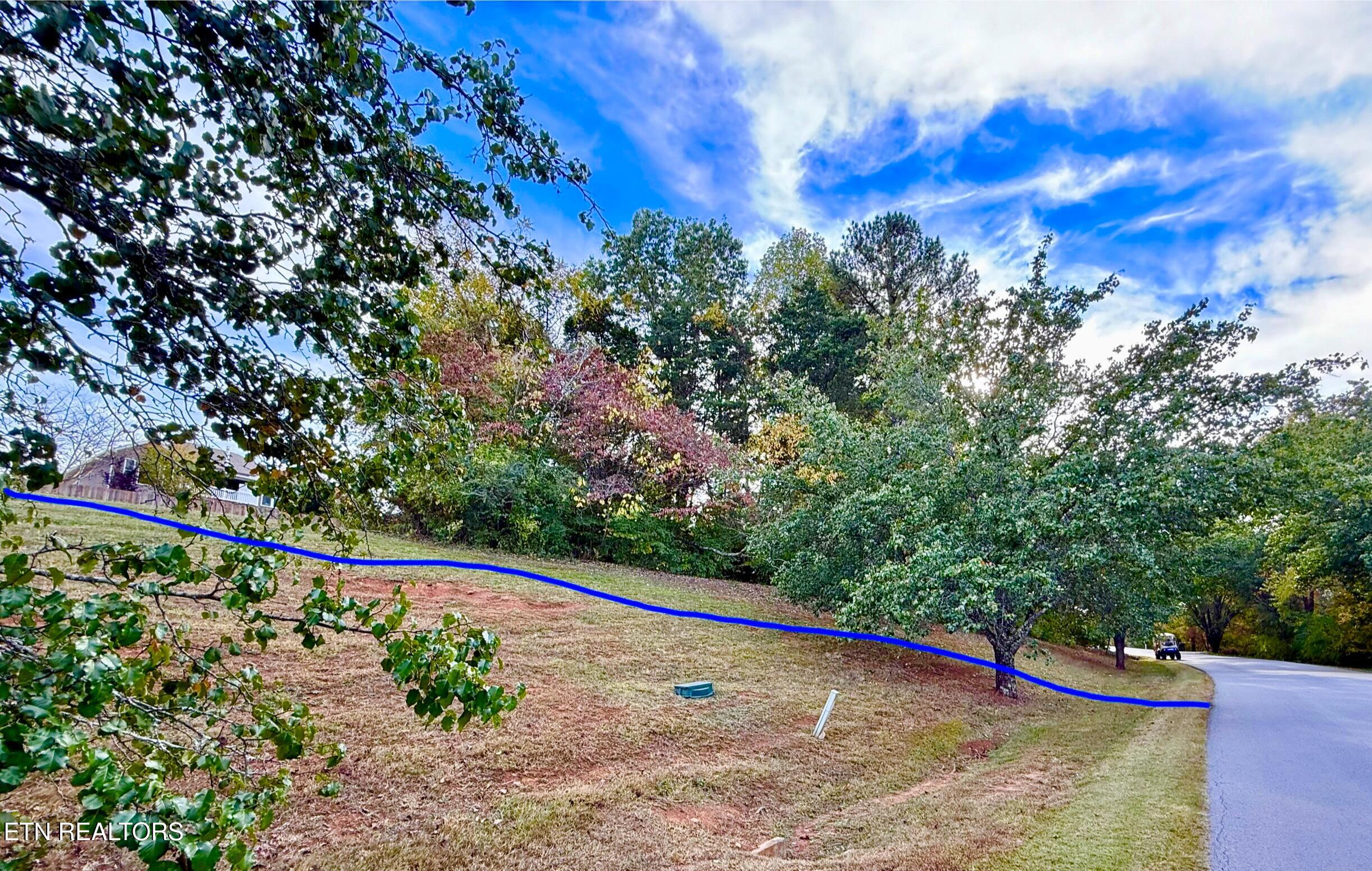 109 Timberlake Drive Greenback, TN 37742 - Photo 7 of 26 IMG_1954