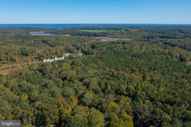 an aerial view of mountain with trees