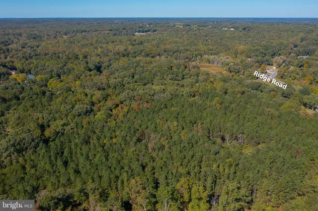 a view of a city with lush green forest