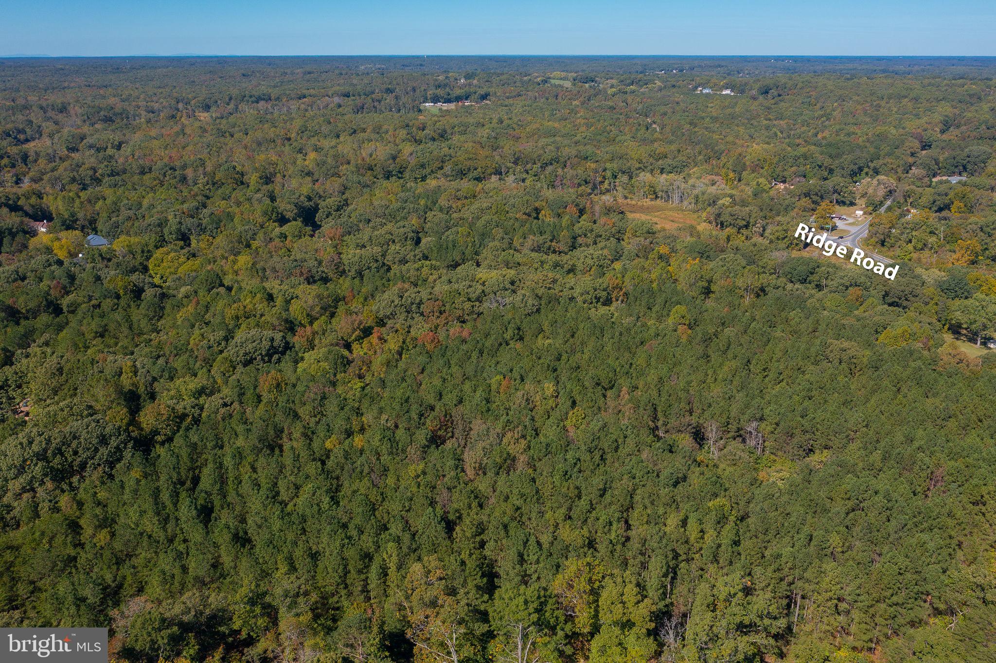 Round Hill Road King George, VA 22485 - Photo 5 of 13 a view of a city with lush green forest