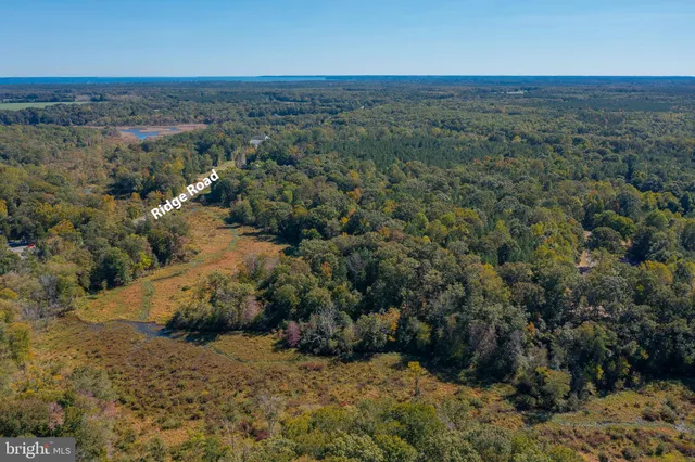 a view of a field with an ocean