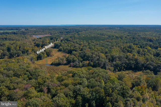 a view of a green field