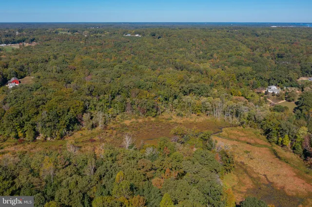 a view of city and ocean