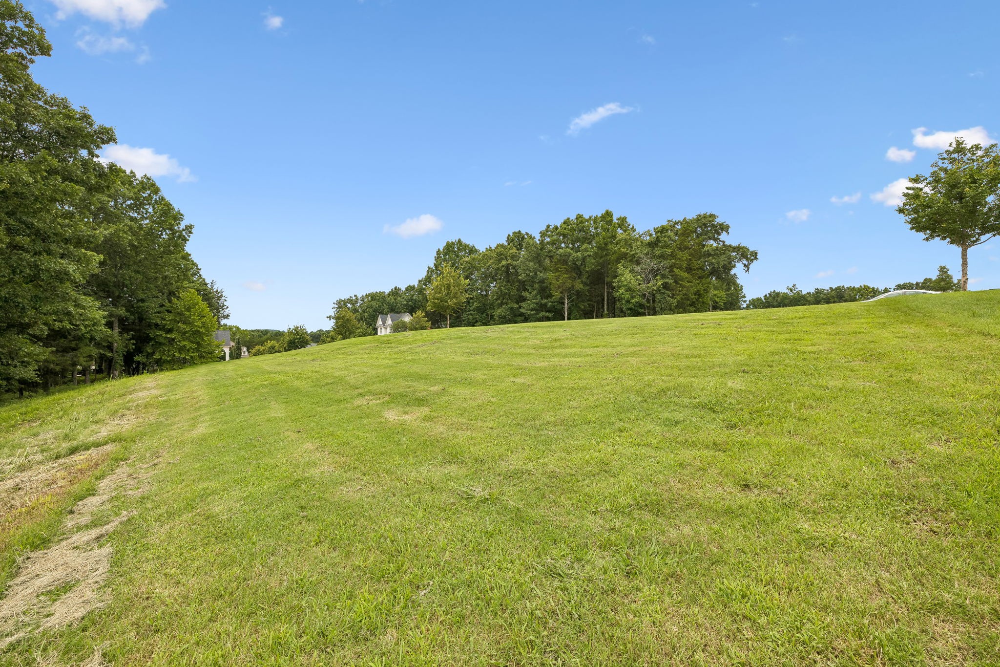 7505 Whiskey Road College Grove, TN 37046 - Photo 23 of 33 Gallery Image 23